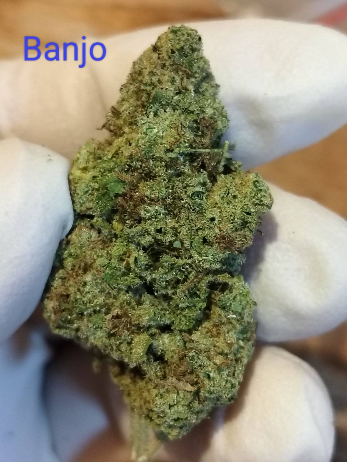 Banjo Strain