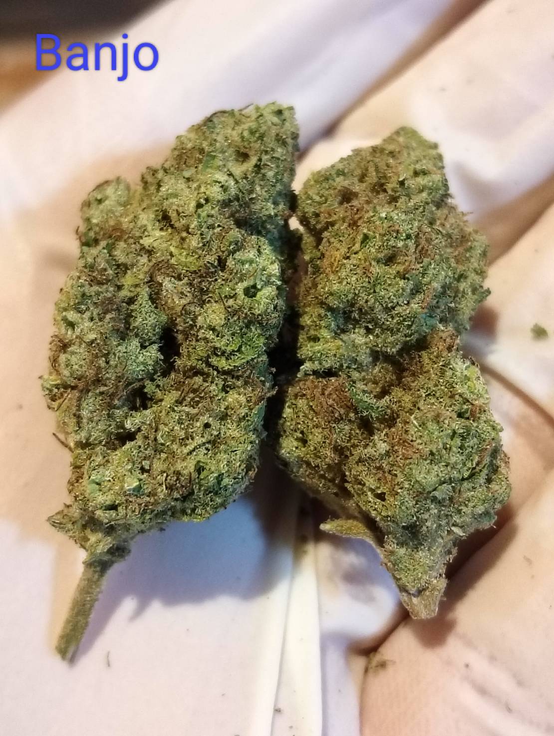Banjo Strain