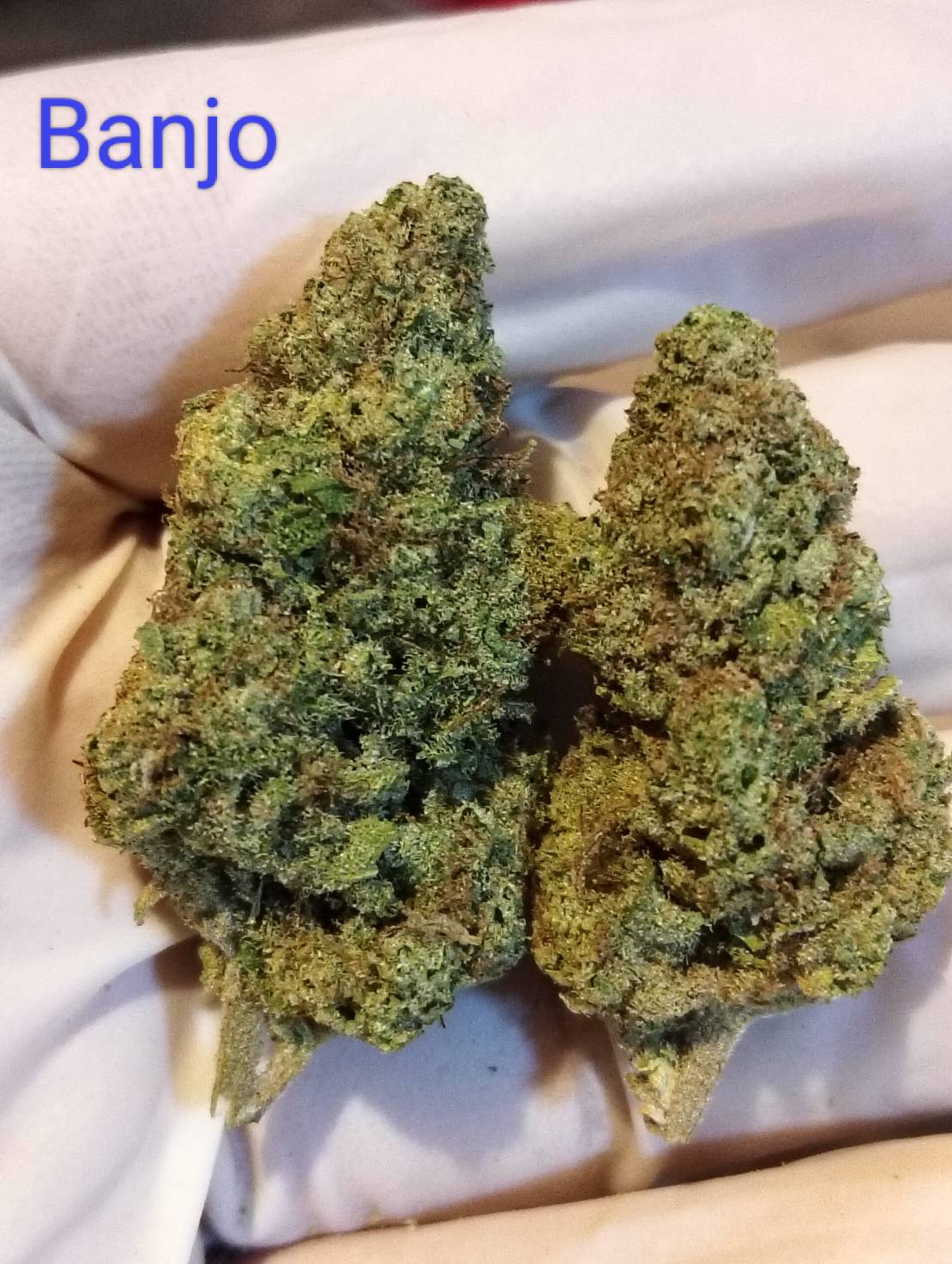 Banjo Strain