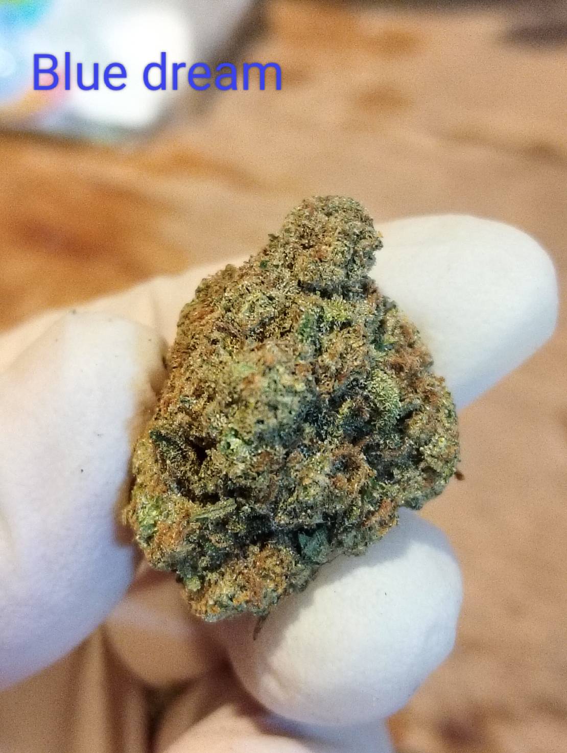 Blue Dreams Strain