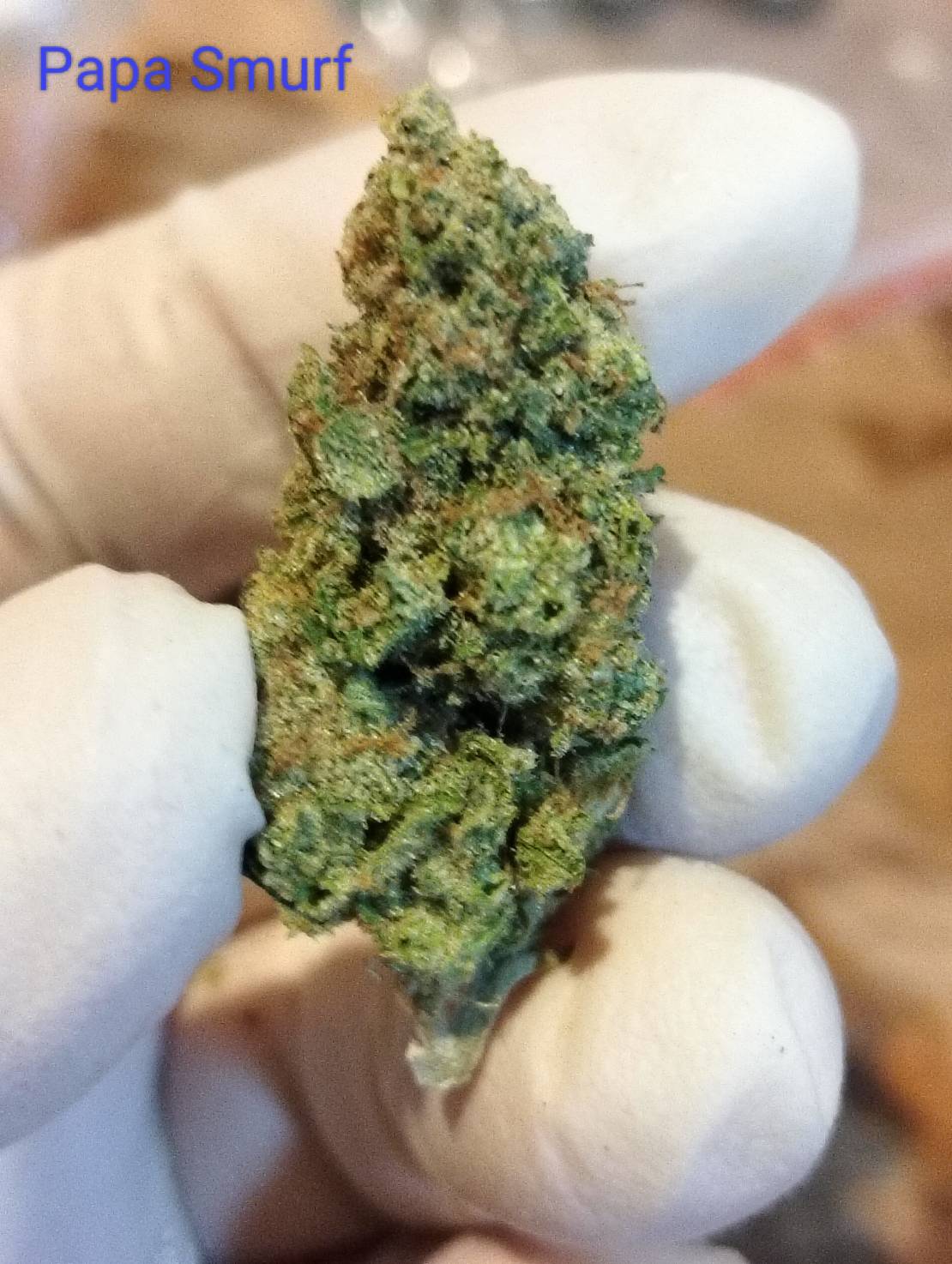 Papa Smurf Strain