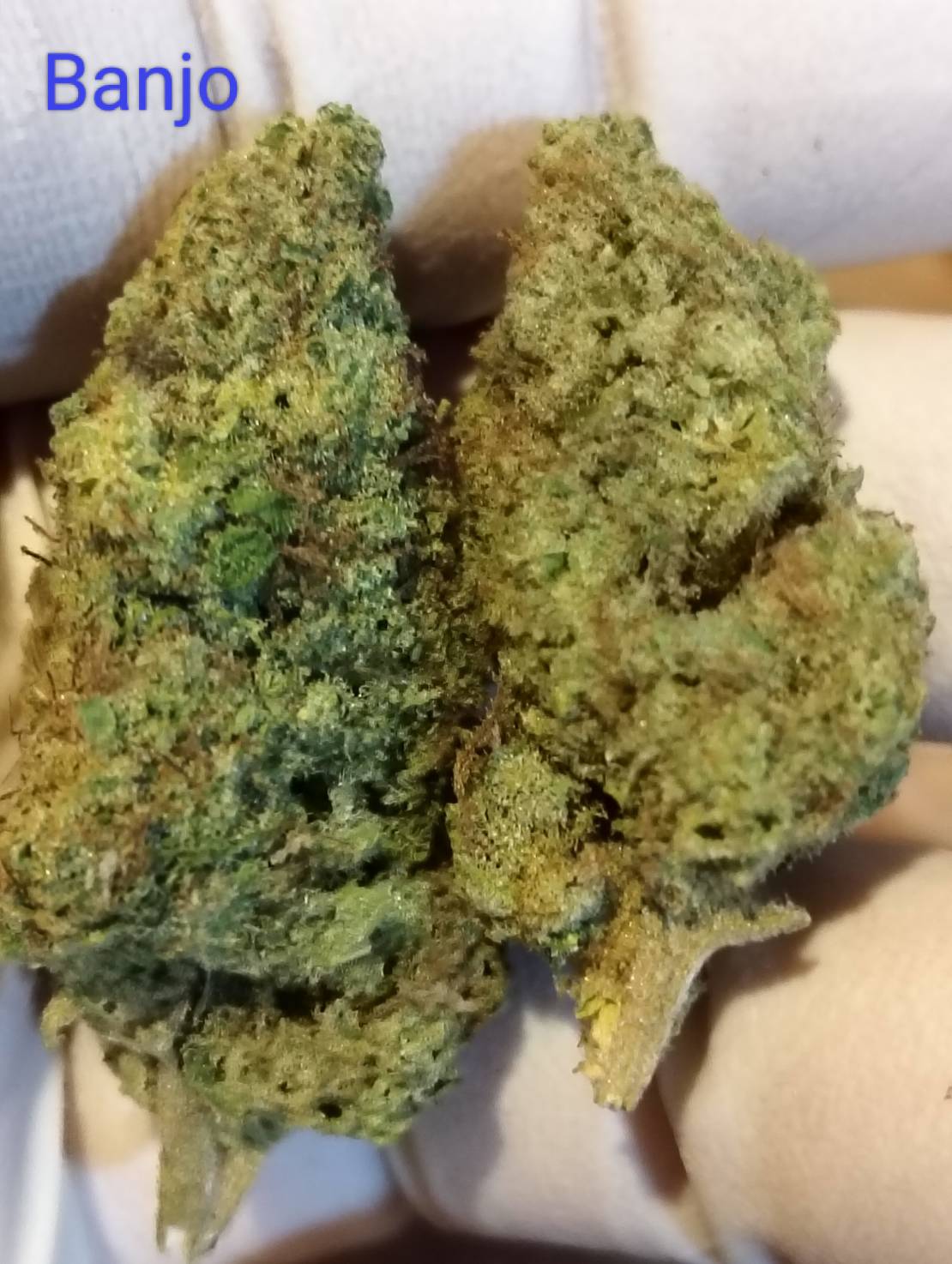 Banjo Strain