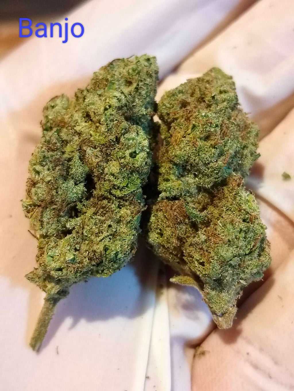 Banjo Strain