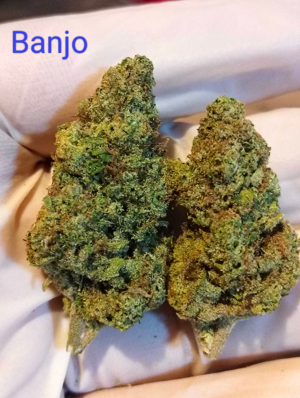 Banjo Strain