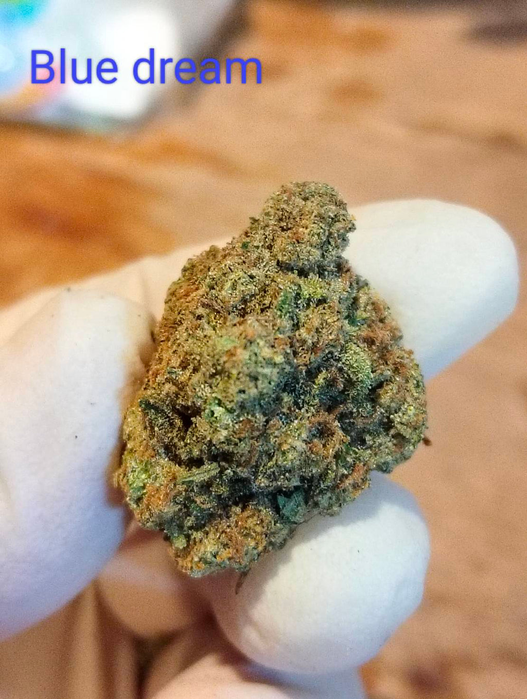 Blue Dreams Strain